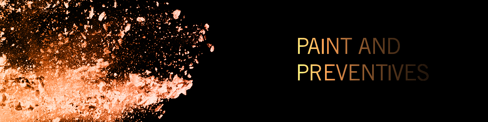 Paint and Preventives Categories