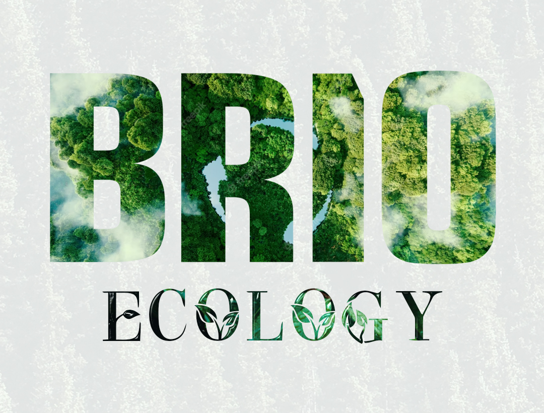 Brio Sustainability and Ecology
