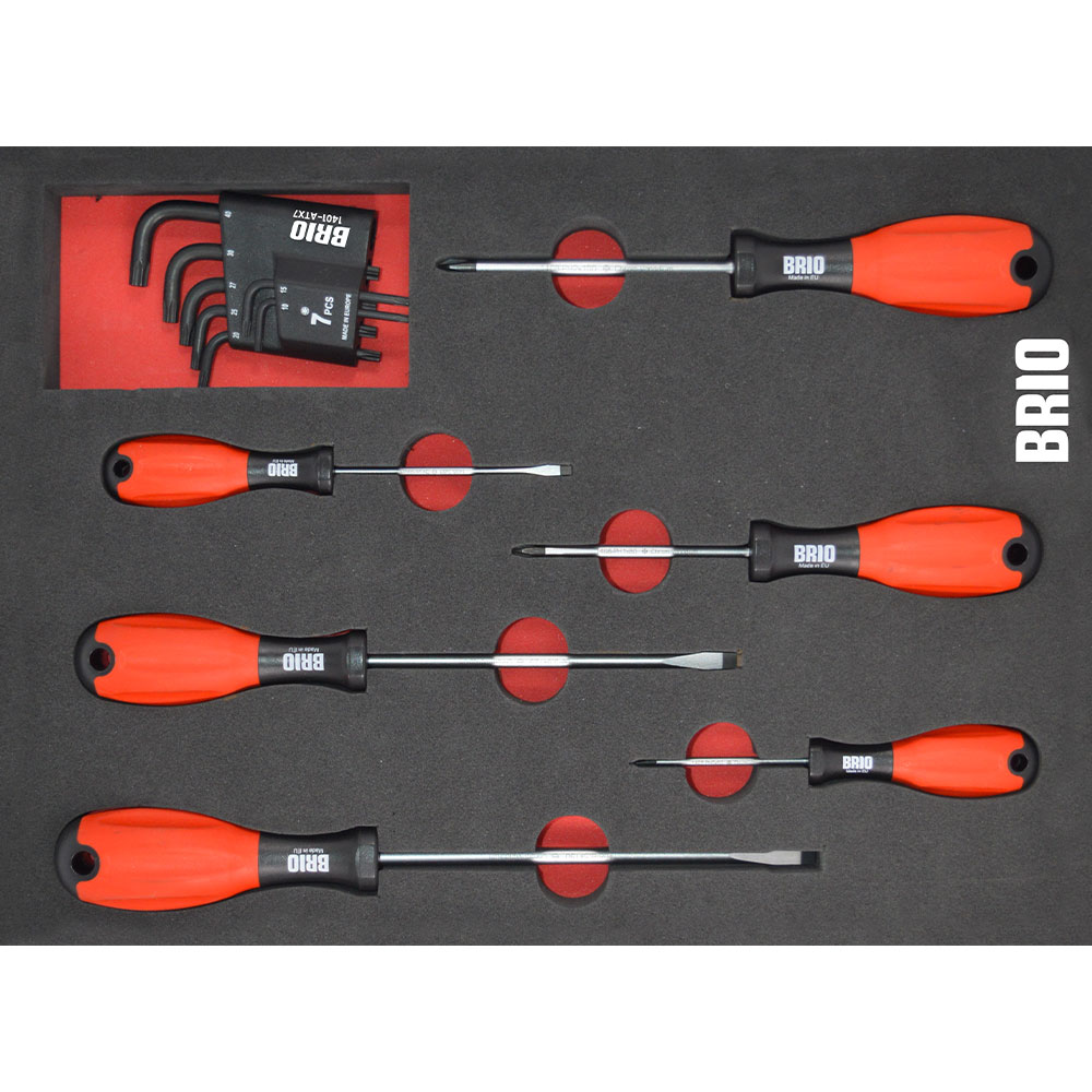 13 Piece Allen Torx, Phillips and Flat Head Screwdriver Set with Foam