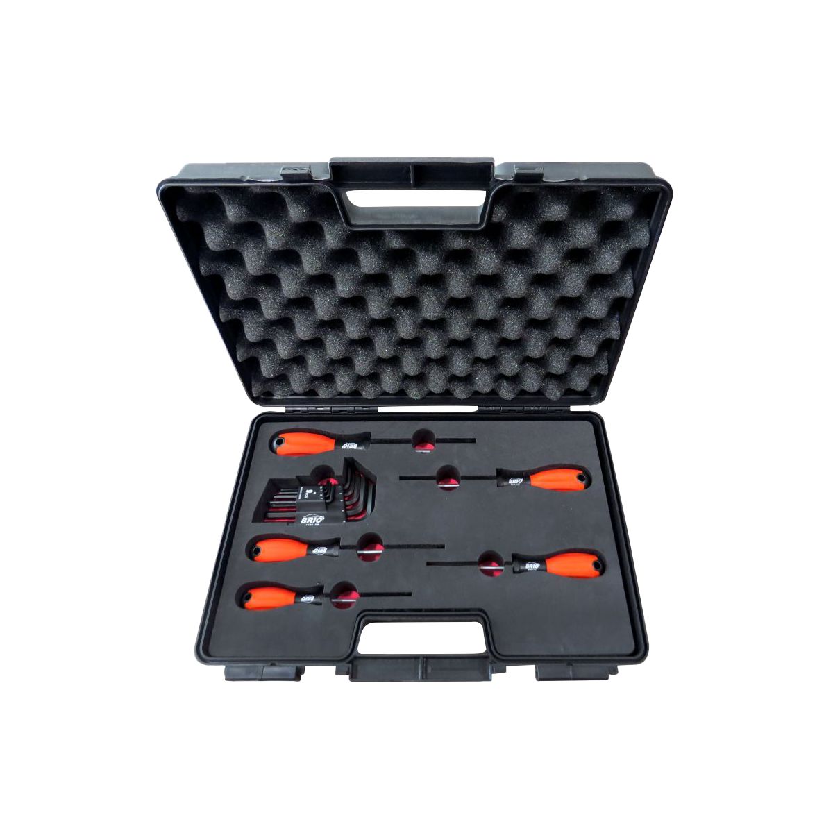 Tornavida Torx  - Allen Seti 14 Parça Çantada