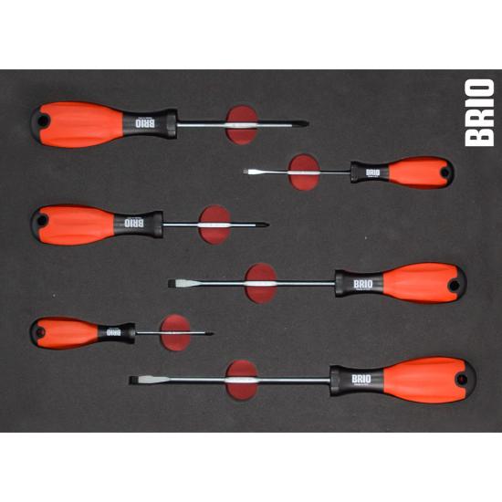 6 Pıece Screwdrıver Set Wıth Foam Inlet