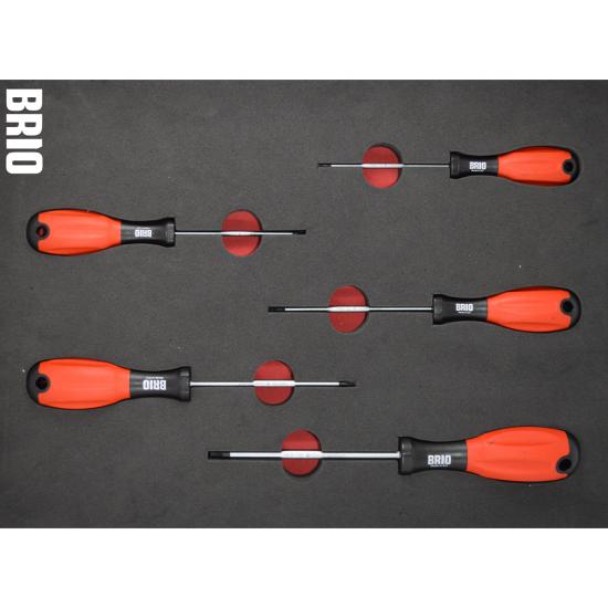 5 Pıece Screwdrıver Torx Set T10-T30 Wıth Foam Inlet