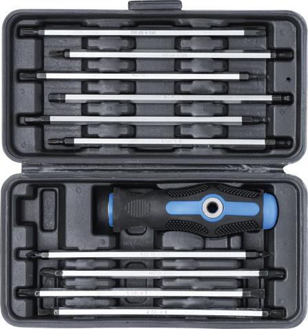 Screwdrıver Set Wıth Interchangeable Blades 11 Pcs